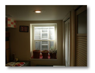 Egress Windows Michigan